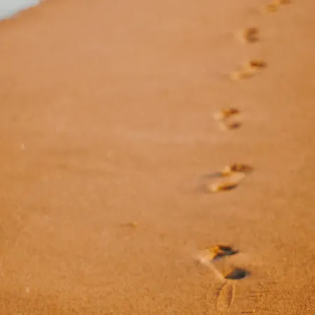 Proche - Fr-1-652-50 * سا يْليرْ دو ري