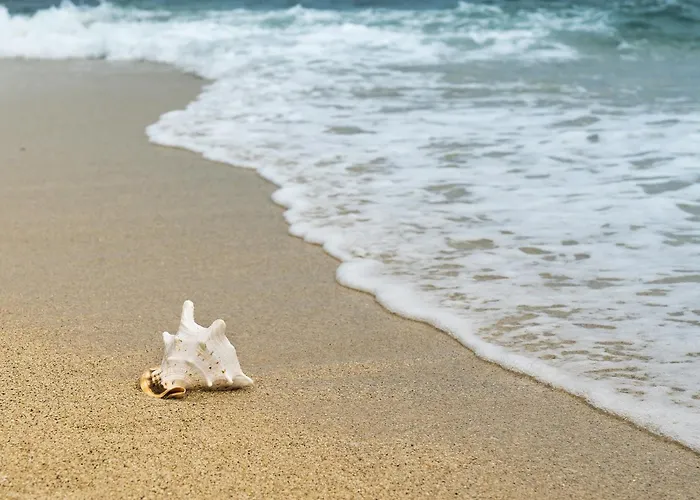 Proche - Fr-1-652-50 Saint-Hilaire-de-Riez