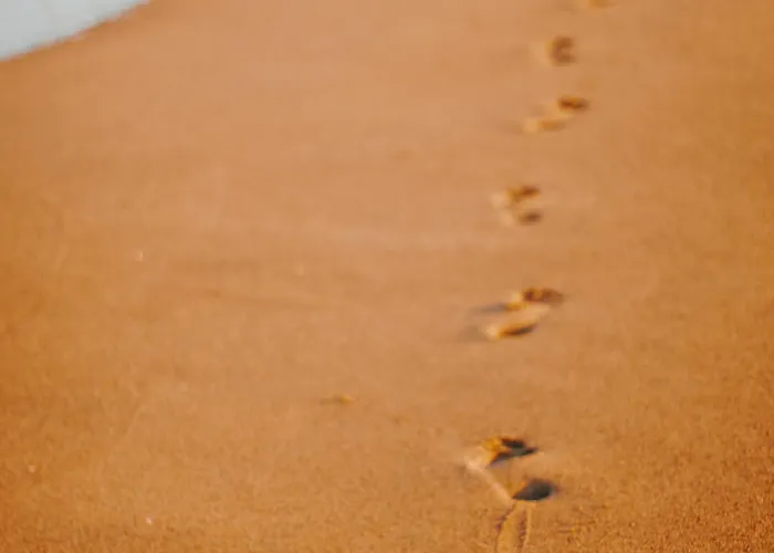 Proche - Fr-1-652-50 * Saint-Hilaire-de-Riez